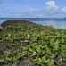 resort_pacific_palau_v_0092_pal1160.jpg